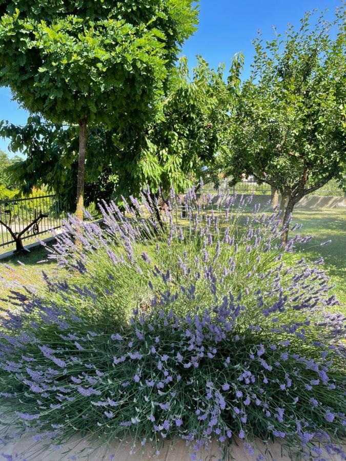 Villa Duje Trilj Dış mekan fotoğraf