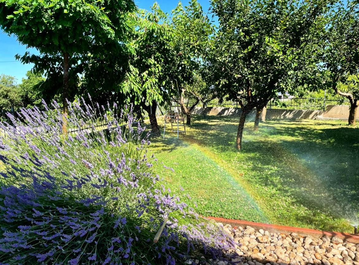 Villa Duje Trilj Dış mekan fotoğraf